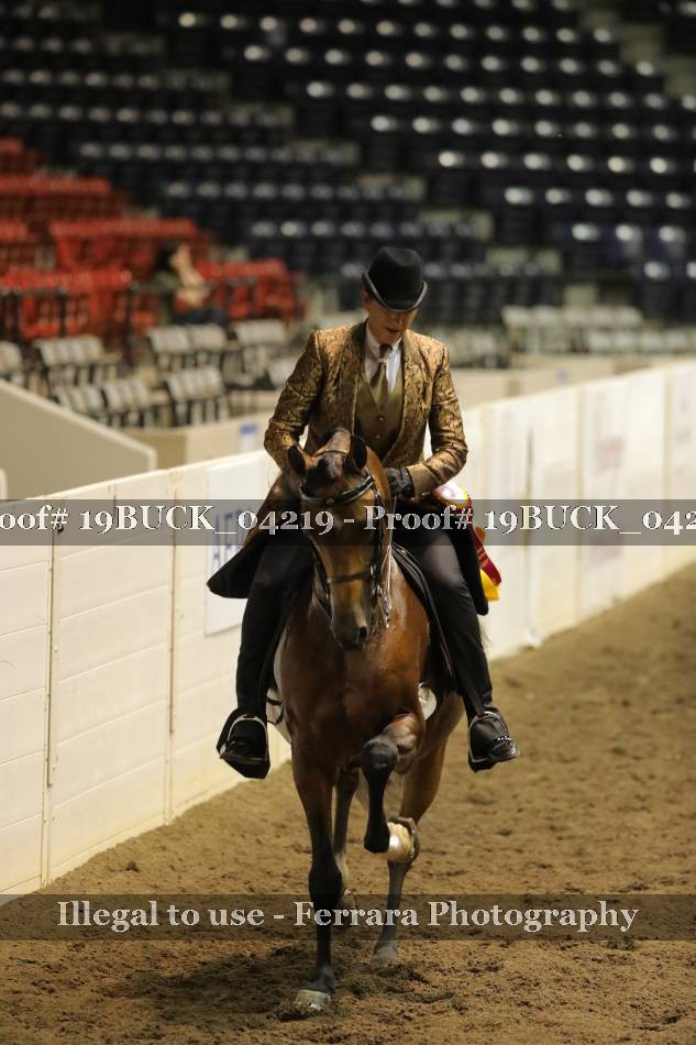 Proof 19BUCK_04219