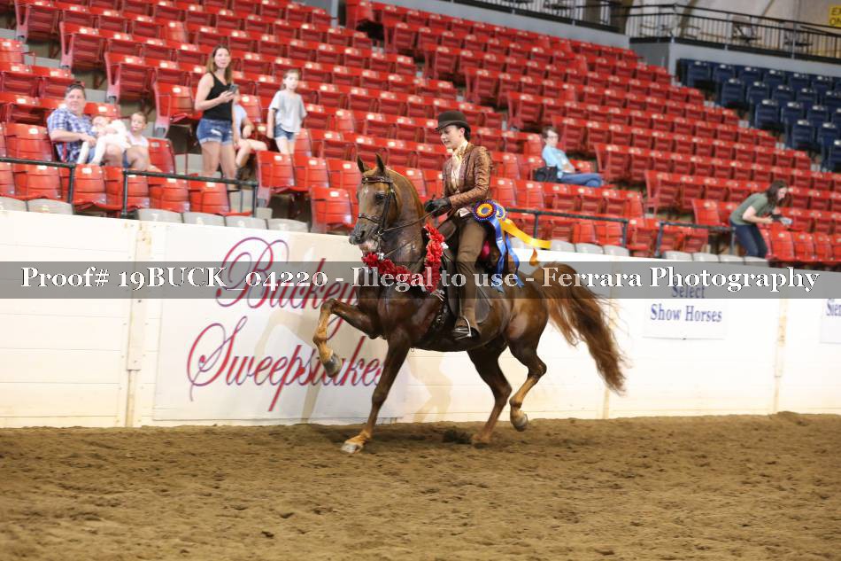Proof 19BUCK_04220