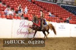19BUCK_04220 proof