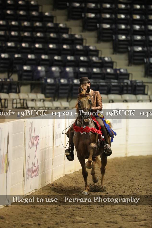 Proof 19BUCK_04221