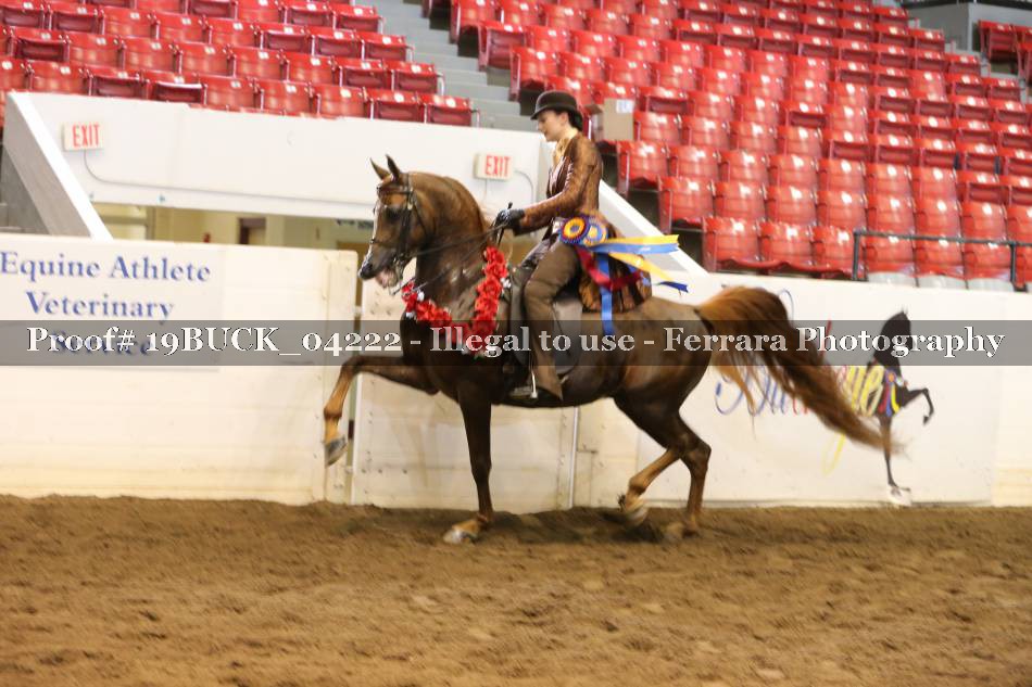 Proof 19BUCK_04222