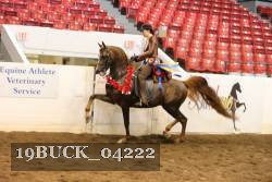 19BUCK_04222 proof