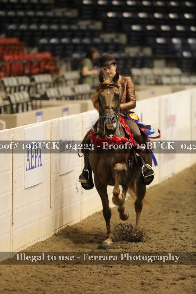 Proof 19BUCK_04223