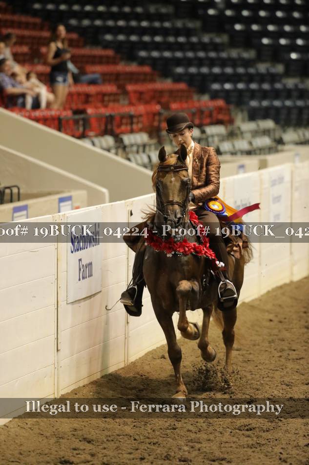 Proof 19BUCK_04224