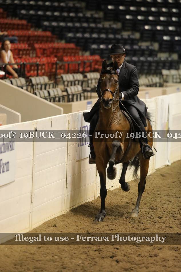 Proof 19BUCK_04226
