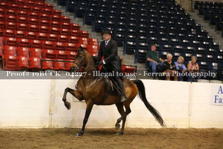Proof 19BUCK_04227