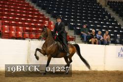 19BUCK_04227 proof