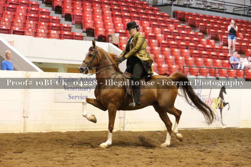 Proof 19BUCK_04228
