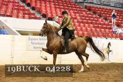 19BUCK_04228 proof