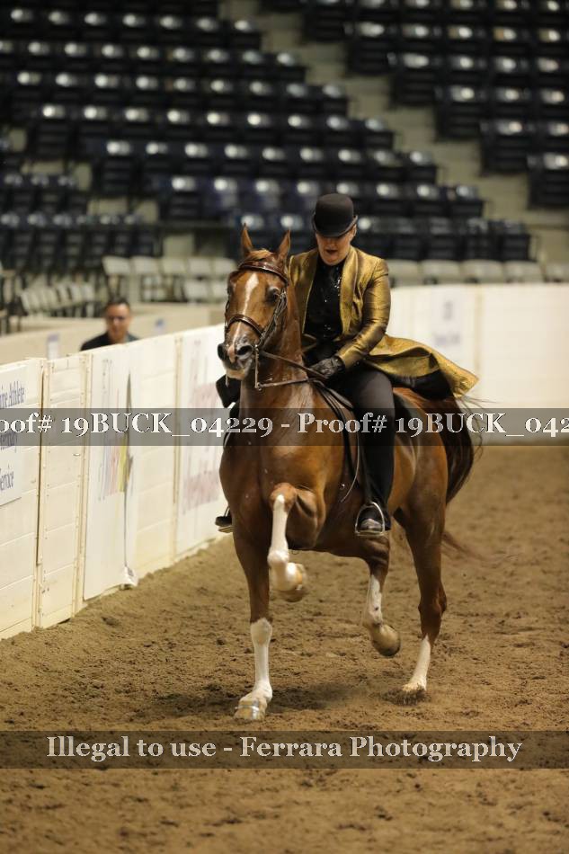 Proof 19BUCK_04229