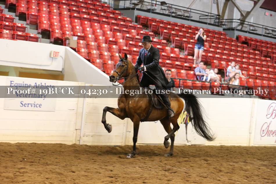 Proof 19BUCK_04230