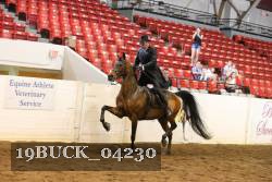 19BUCK_04230 proof