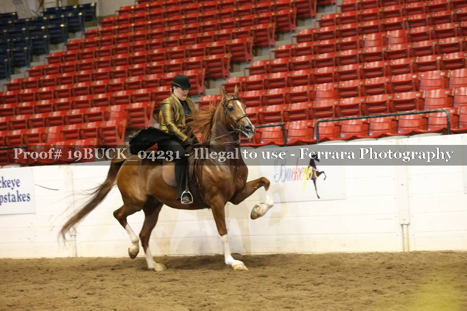 Proof 19BUCK_04231