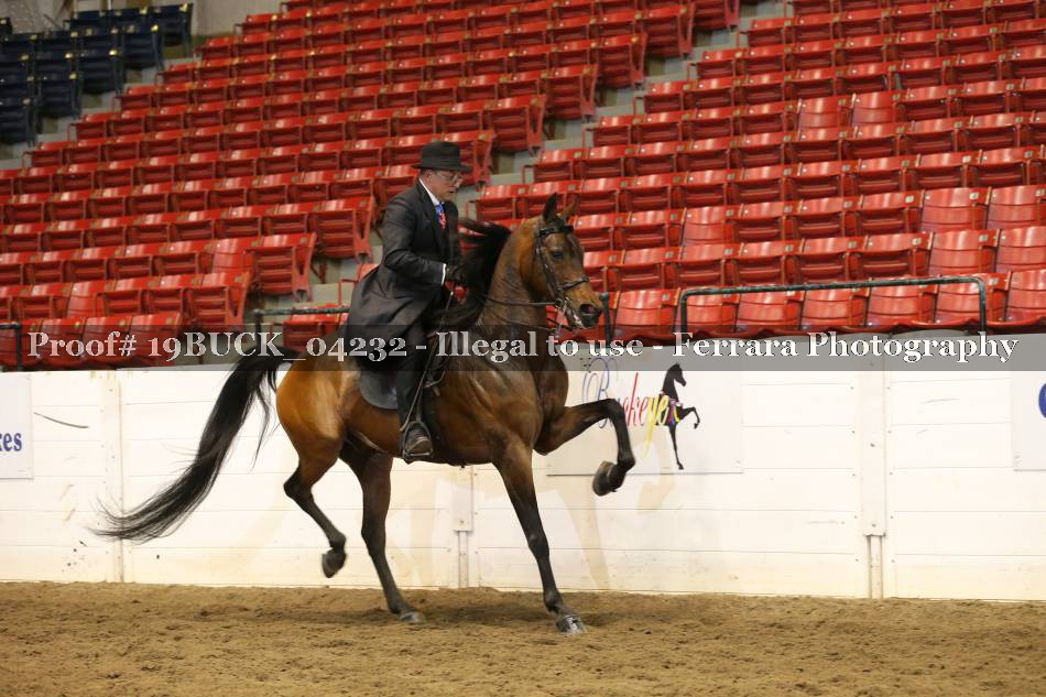 Proof 19BUCK_04232