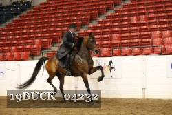 19BUCK_04232 proof