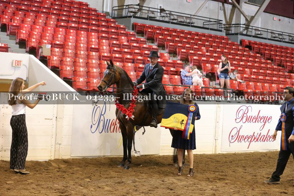 Proof 19BUCK_04233