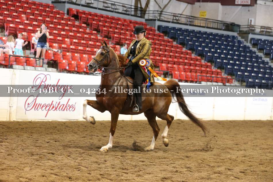 Proof 19BUCK_04234