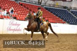 19BUCK_04234 proof