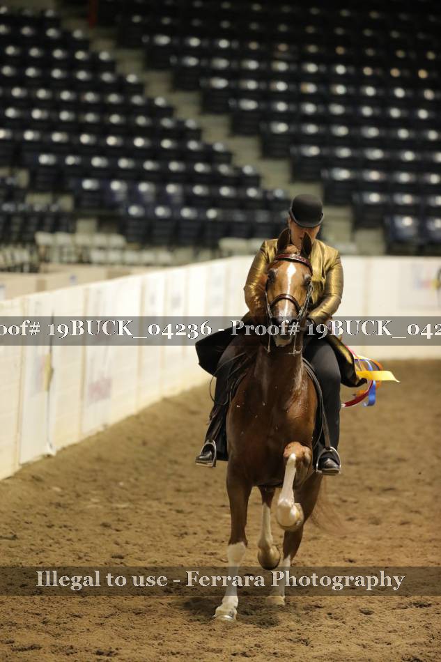 Proof 19BUCK_04236