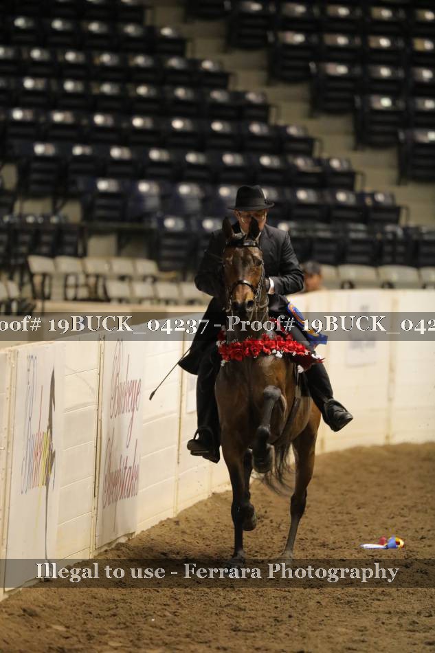 Proof 19BUCK_04237