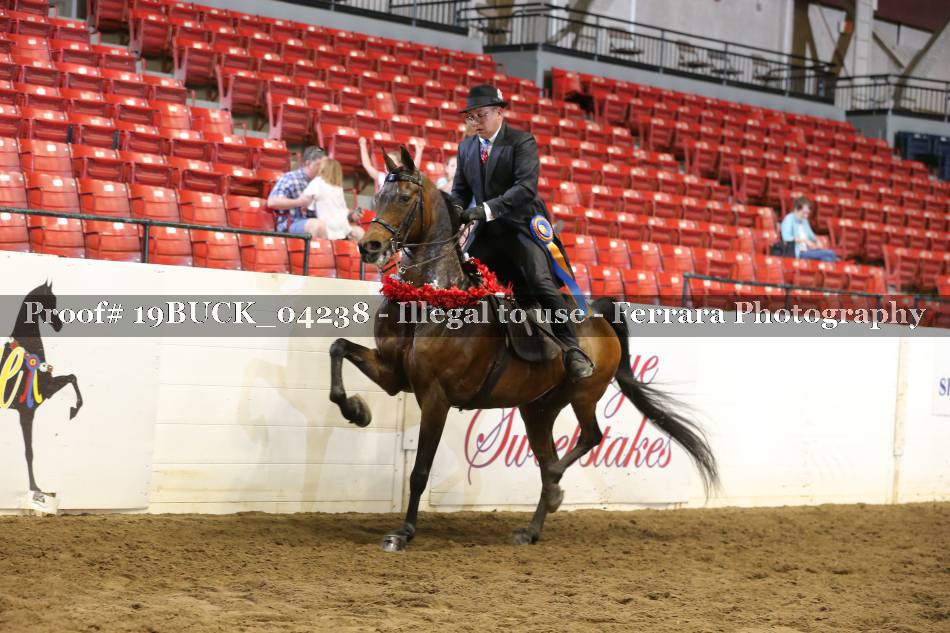 Proof 19BUCK_04238