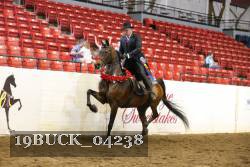 19BUCK_04238 proof