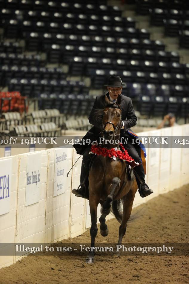Proof 19BUCK_04239
