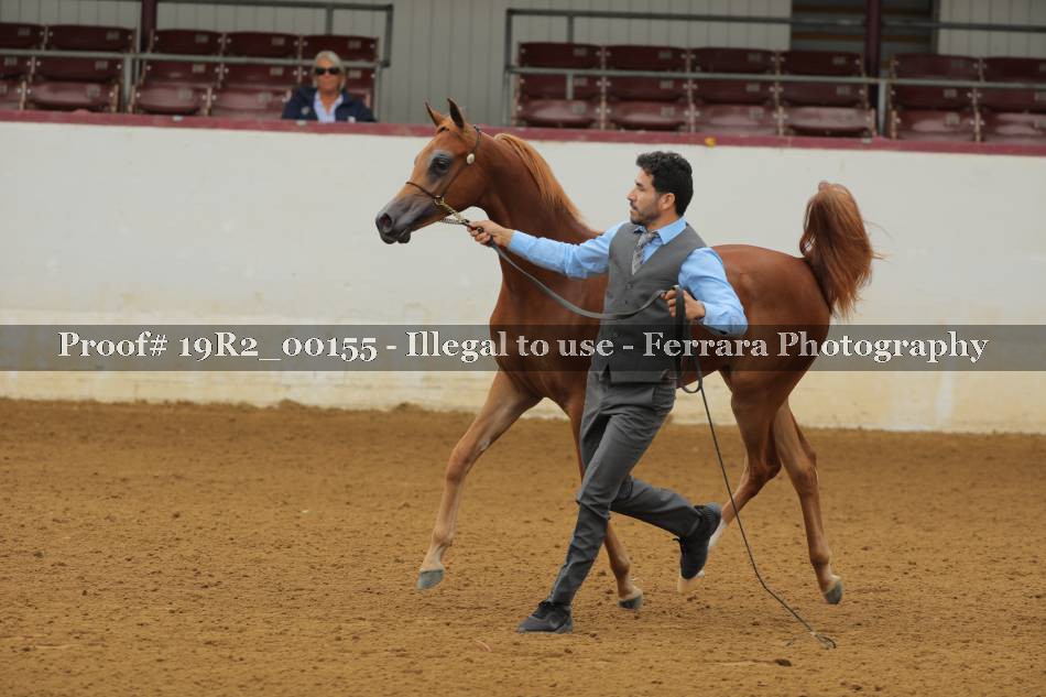 Proof 19R2_00155