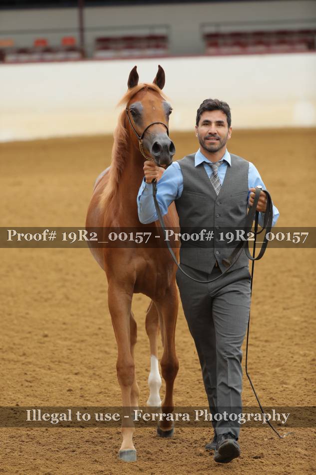 Proof 19R2_00157