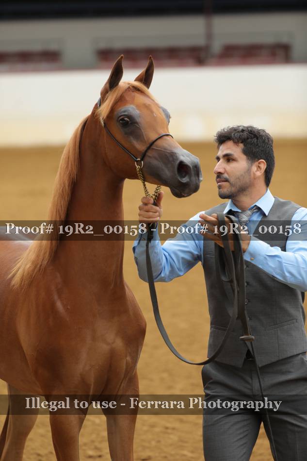 Proof 19R2_00158