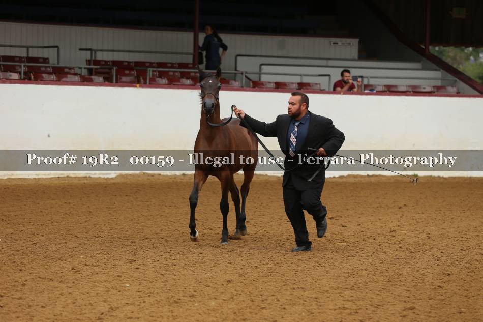 Proof 19R2_00159