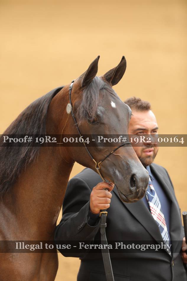Proof 19R2_00164