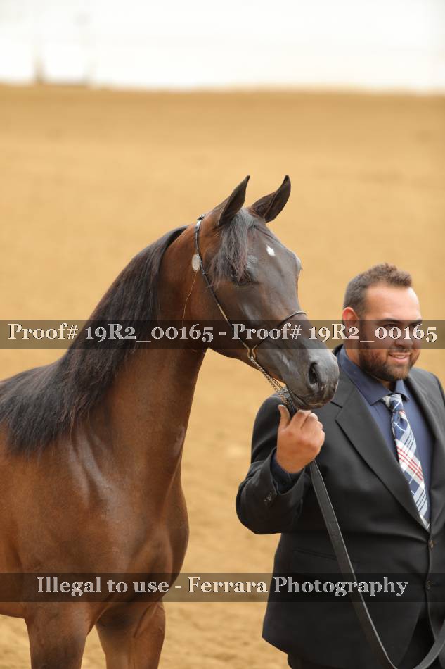 Proof 19R2_00165