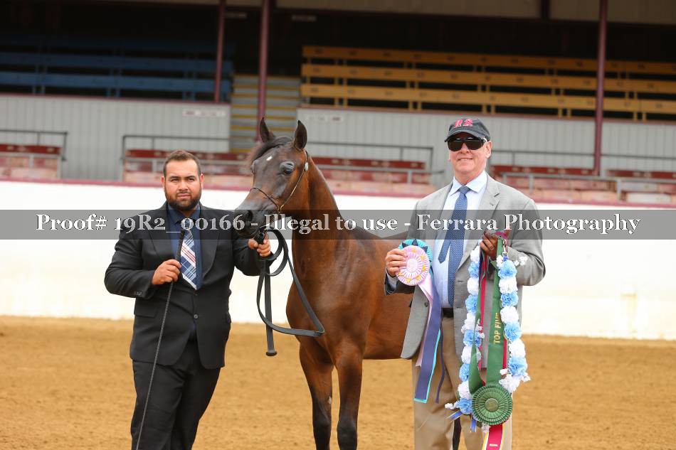 Proof 19R2_00166