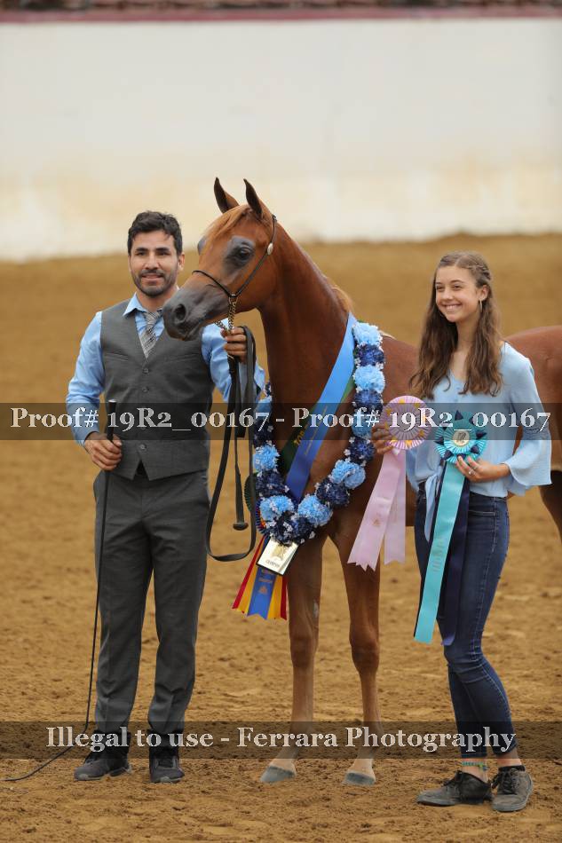 Proof 19R2_00167