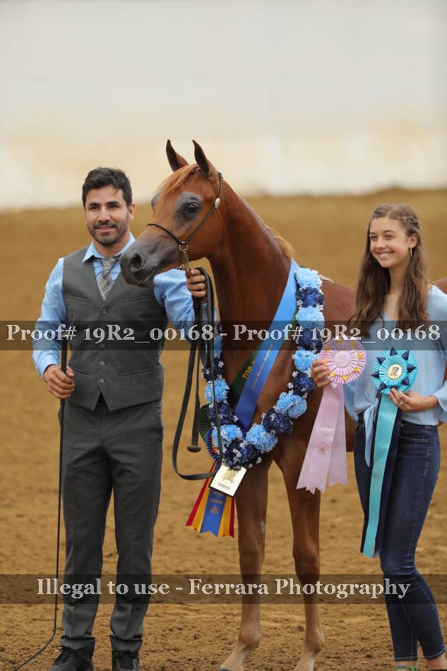 Proof 19R2_00168