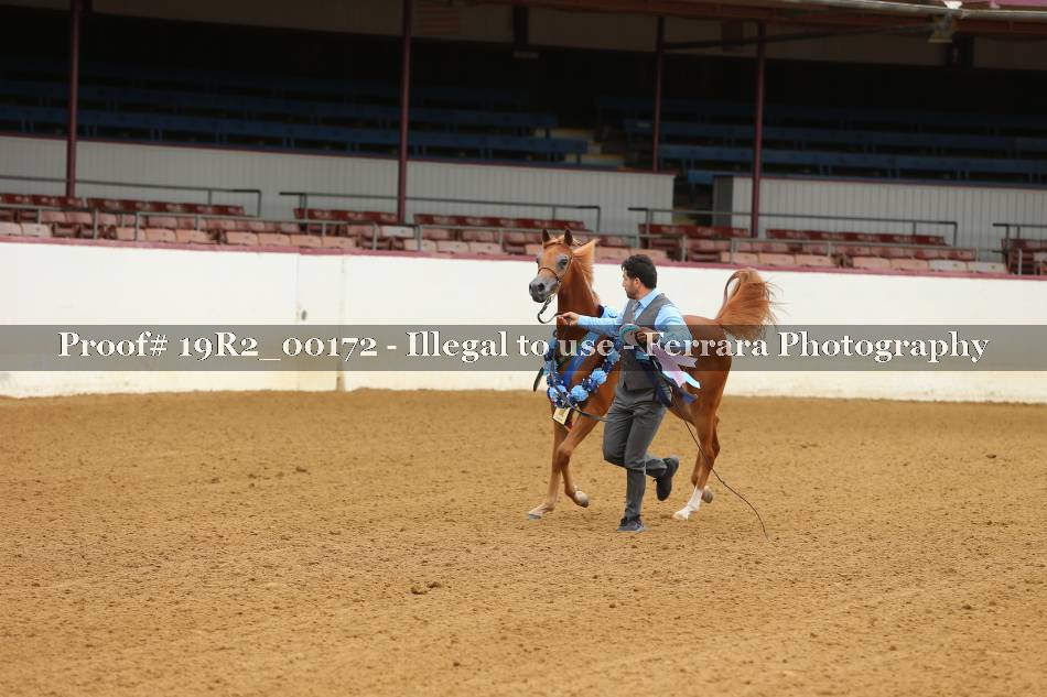 Proof 19R2_00172