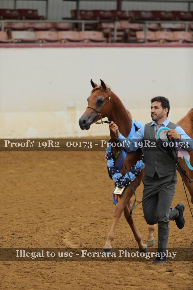 Proof 19R2_00173