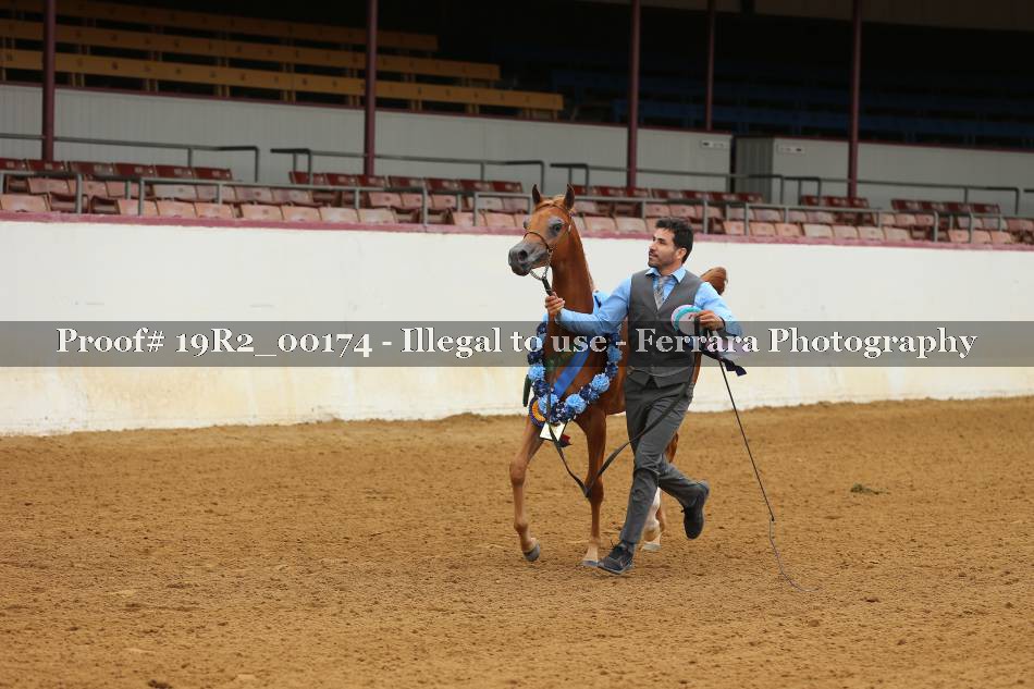Proof 19R2_00174