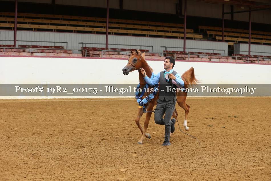 Proof 19R2_00175