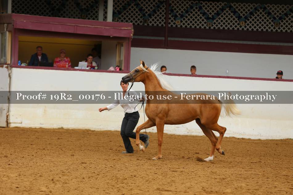 Proof 19R2_00176