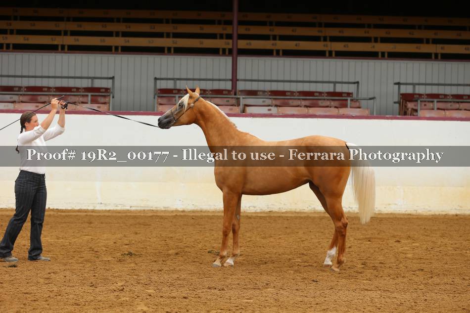 Proof 19R2_00177