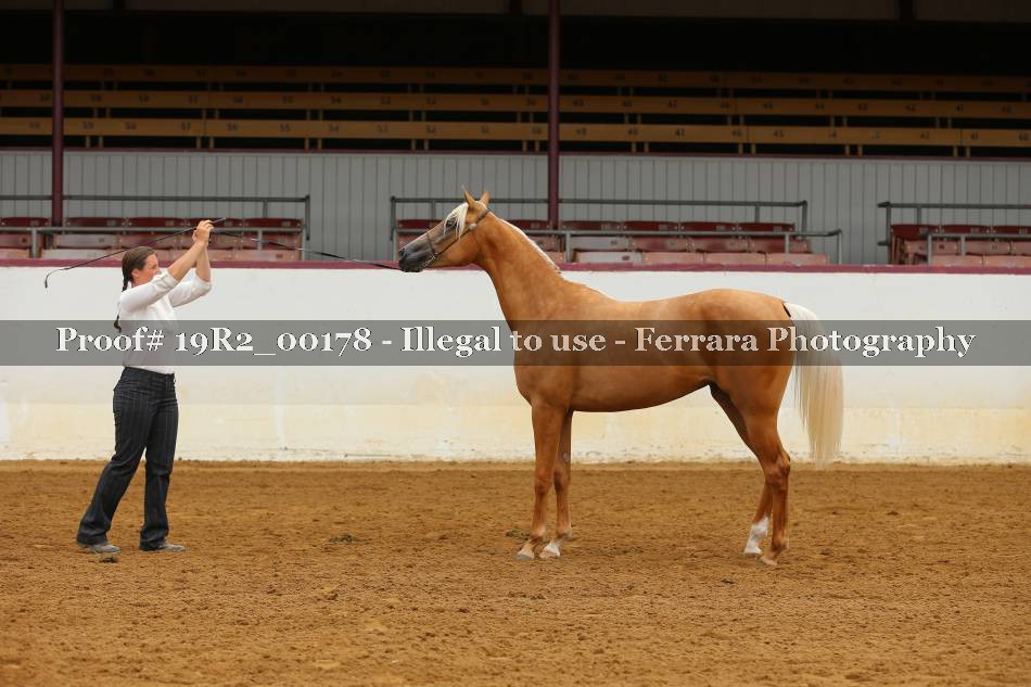 Proof 19R2_00178