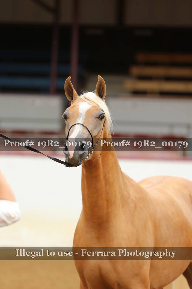 Proof 19R2_00179