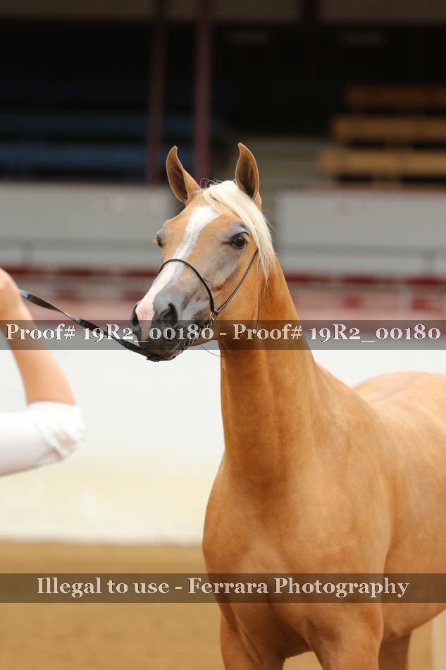 Proof 19R2_00180