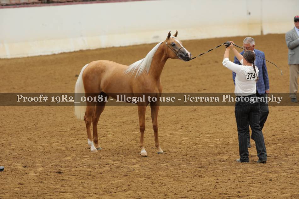 Proof 19R2_00181