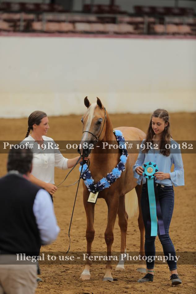 Proof 19R2_00182