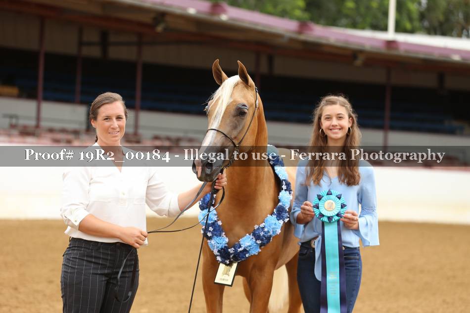 Proof 19R2_00184