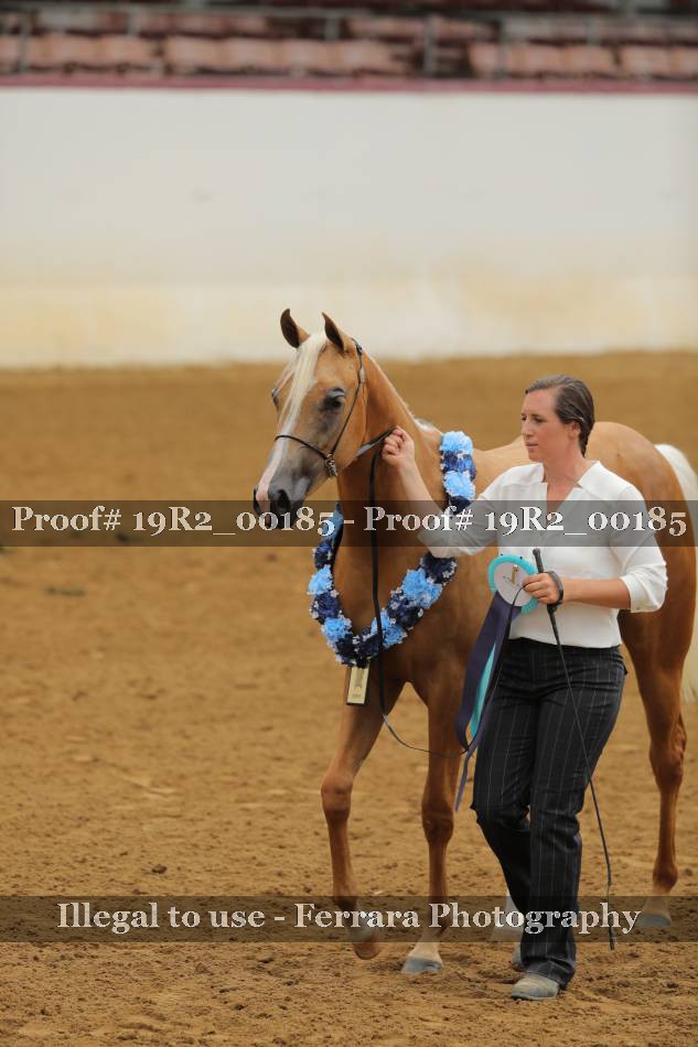 Proof 19R2_00185