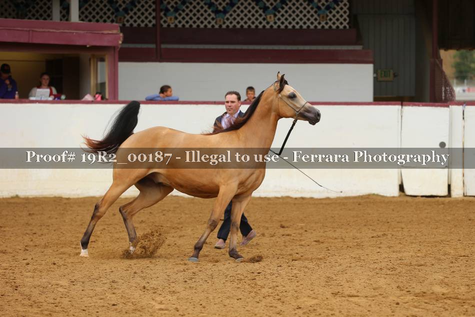 Proof 19R2_00187
